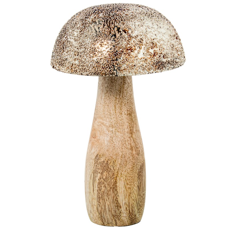 72580-1