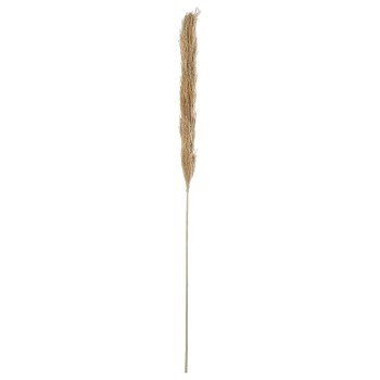 Rama Caña Natural 145cm
