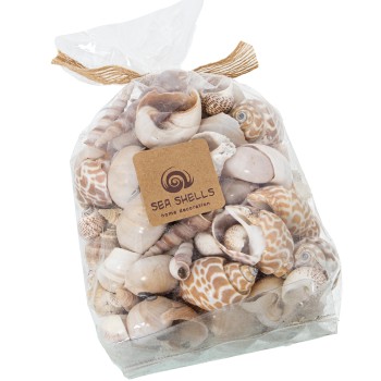 Bolsa Conchas Naturales Surtidas, Peso Aprox:630gr Bolsa:11x9x15/19cm