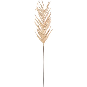 Rama Hojas Natural/marrón 100cm