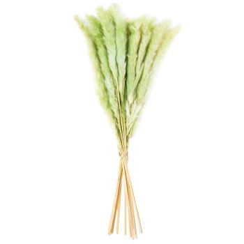 Ramo Flores Envuelto En Papel Verde 50cm