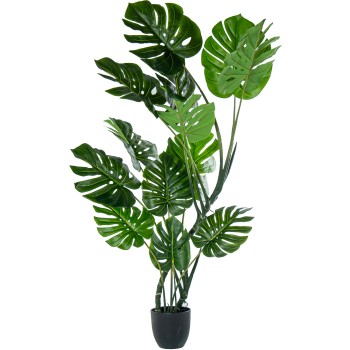 Planta Artificial Monstera 170cm 170cm