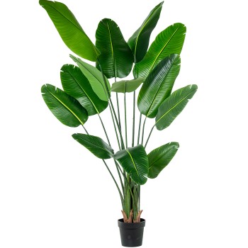 Planta Artificial Arbol Del Viajero 180 Cm 3 Troncos 13 Hoj 180 Cm.