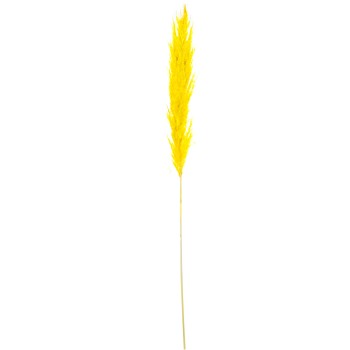 Rama Hierba De Pampa Amarillo Algodón 60cm