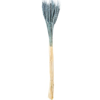 Ramo Varas Trigo Azules Natural Preservada 70cm