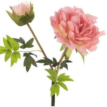 Peonia Poliester Rosa 50cm