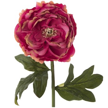 Peonia Poliester Fucsia 55cm